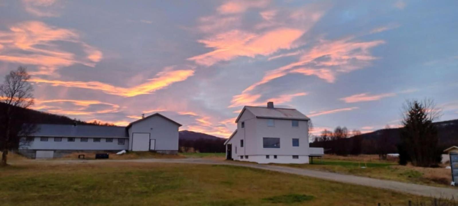 Tonsvik Enebolig Villa Tromso Bagian luar foto