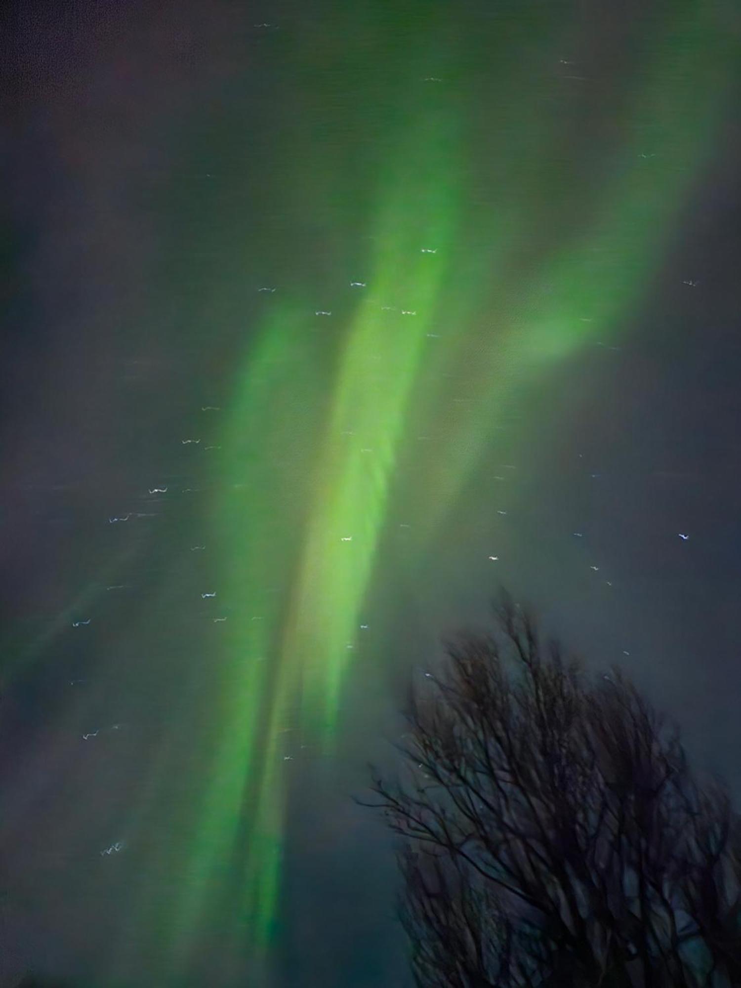 Tonsvik Enebolig Villa Tromso Bagian luar foto